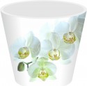 Кашпо для орхидеи со вставкой InGreen London Orchid Deco ING6196 Белая орхидея 1.6л