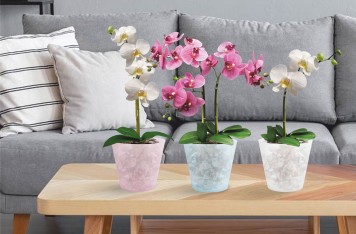 Горшок для цветов с дренажной вставкой InGreen London Orchid ING1558 Белый перламутр 1.6л